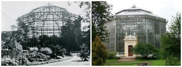 Разрушенная пальмовая оранжерея - пальмовая оранжерея сегодня. Фото: botaniqu-garden.livejournal.com