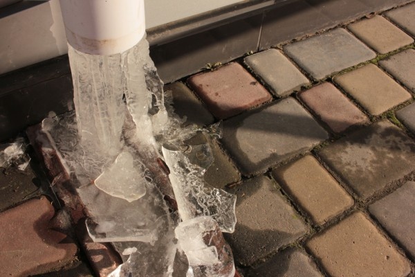 Источник фото shutterstock.com