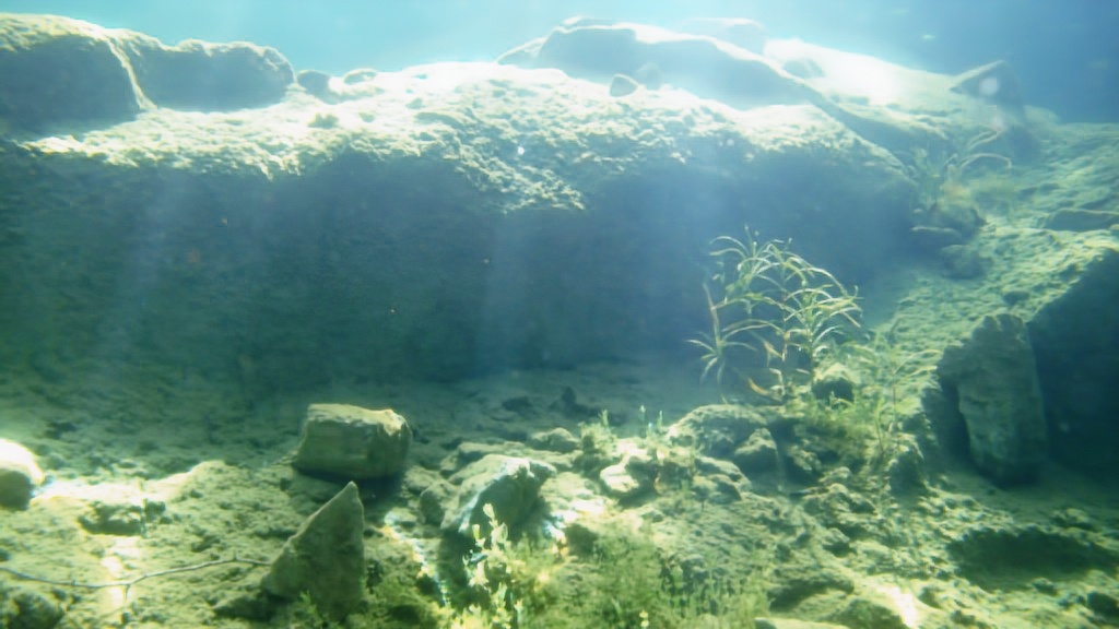 Через кристально чистую воду видны мраморные плиты с причудливыми узорами, покрытые водорослями. На дне — остатки древних инструментов каменотесов: кирки и долота, оставленные 200 лет назад. Температура воды +4°C, освещение — естественное солнечное. Глубина съемки — 8 метров. Рядом плавает редкая рыба — сиг-пыжьян, эндемик Балтийского бассейна.