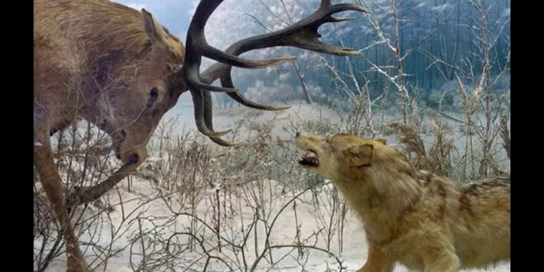 АГАФЬЯ ЛЫКОВА: БИТВА НА СНЕГУ