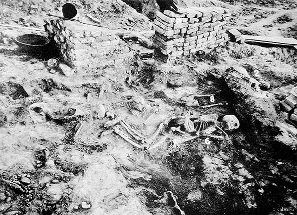 (источник: pikabu.ru)