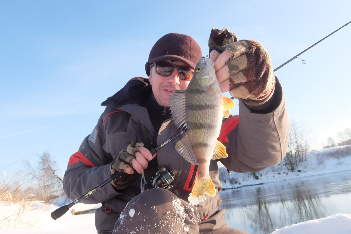 фото: Дмитрий Гудков