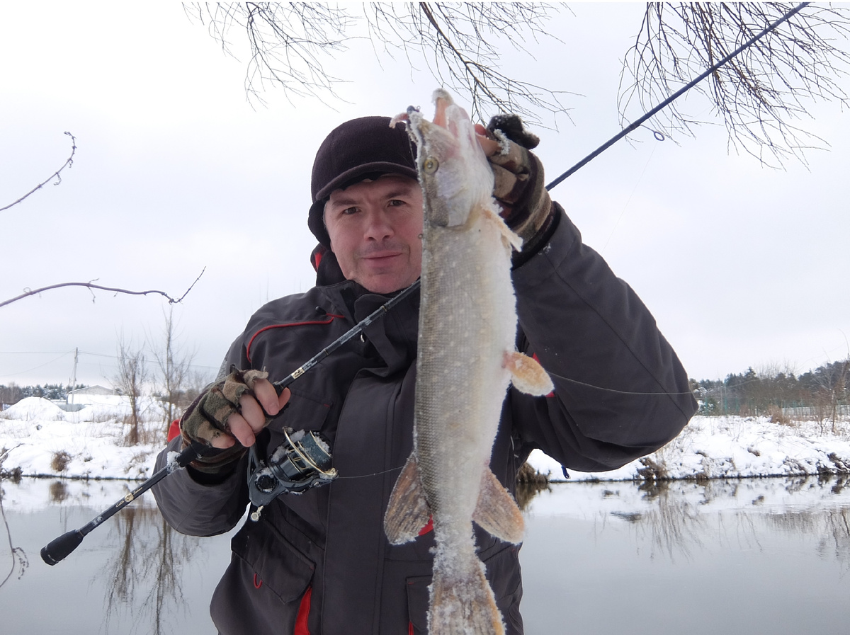 фото: Дмитрий Гудков