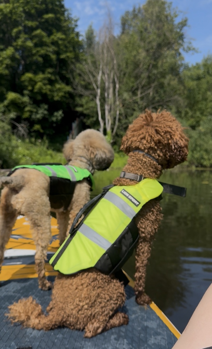 Иногда лучший маршрут-просто плыть и молчать