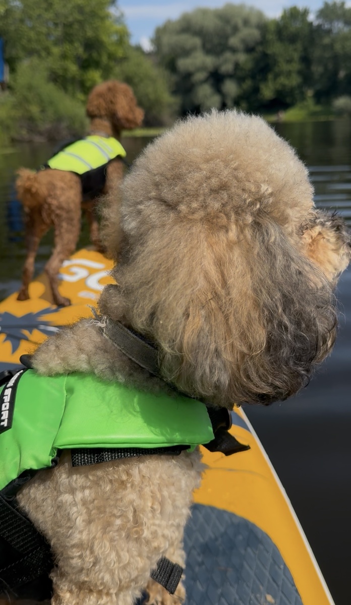 В такие моменты кажется ,что они видят больше,чем мы.