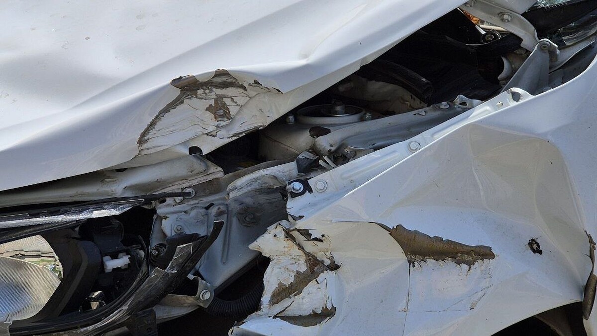    Фото: телеканал «Краснодар»