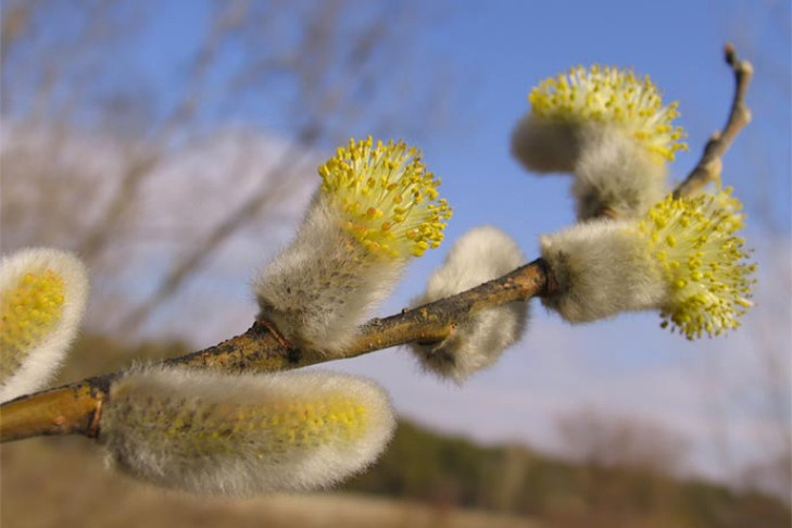    фото Андрея Заржецкого