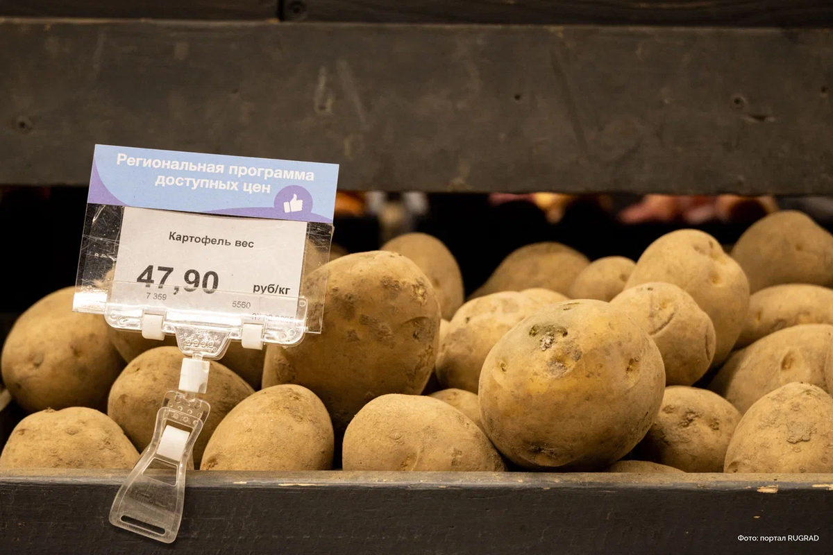 Фото из архива rugrad