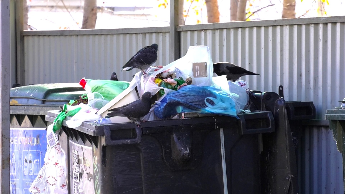    Морозы сбили графики вывоза мусора в Югре