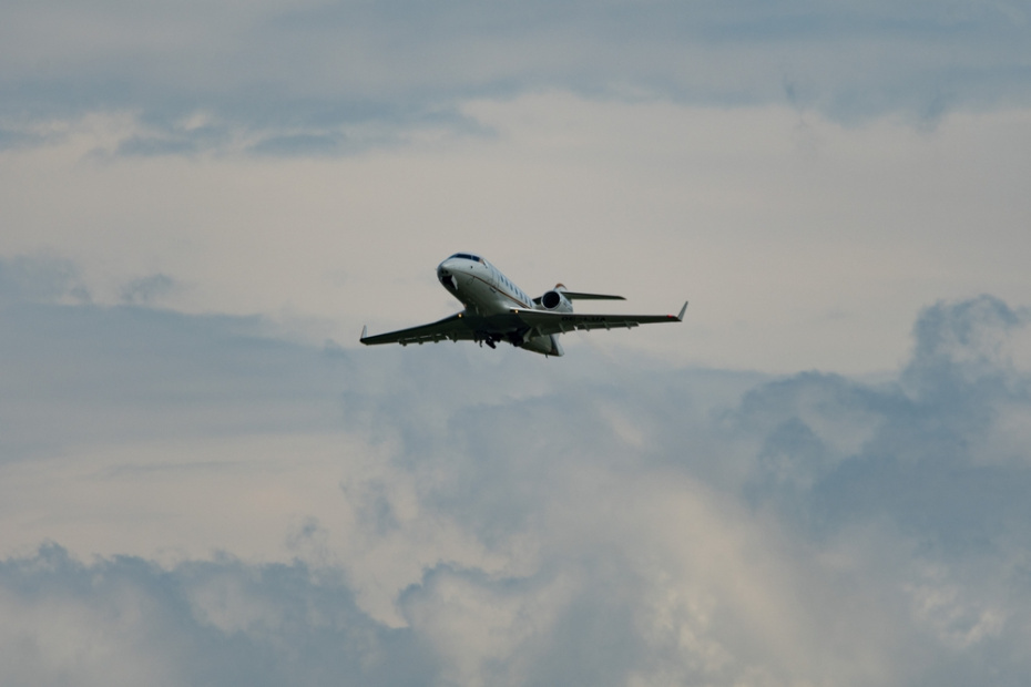    Shutterstock/FOTODOM