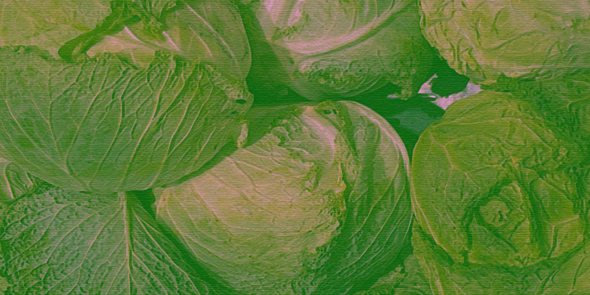    Как капуста влияет на организм и какие полезные компоненты в ней есть? Отвечает эксперт (фото 2)