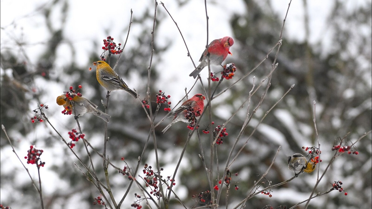    Источник: Пресс-служба Департамента природопользования и охраны окружающей среды города Москвы