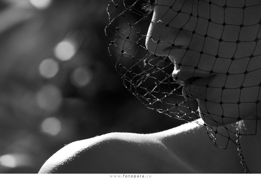 фото яндекс.