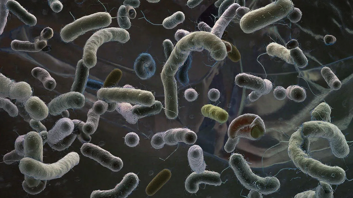    Изображение создано при помощи ИИ