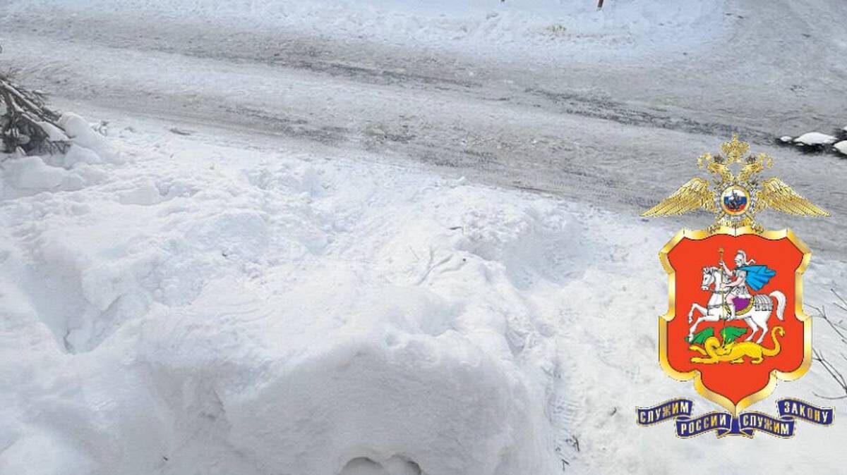    Фото: Пресс-служба ГУ МВД России по Московской области