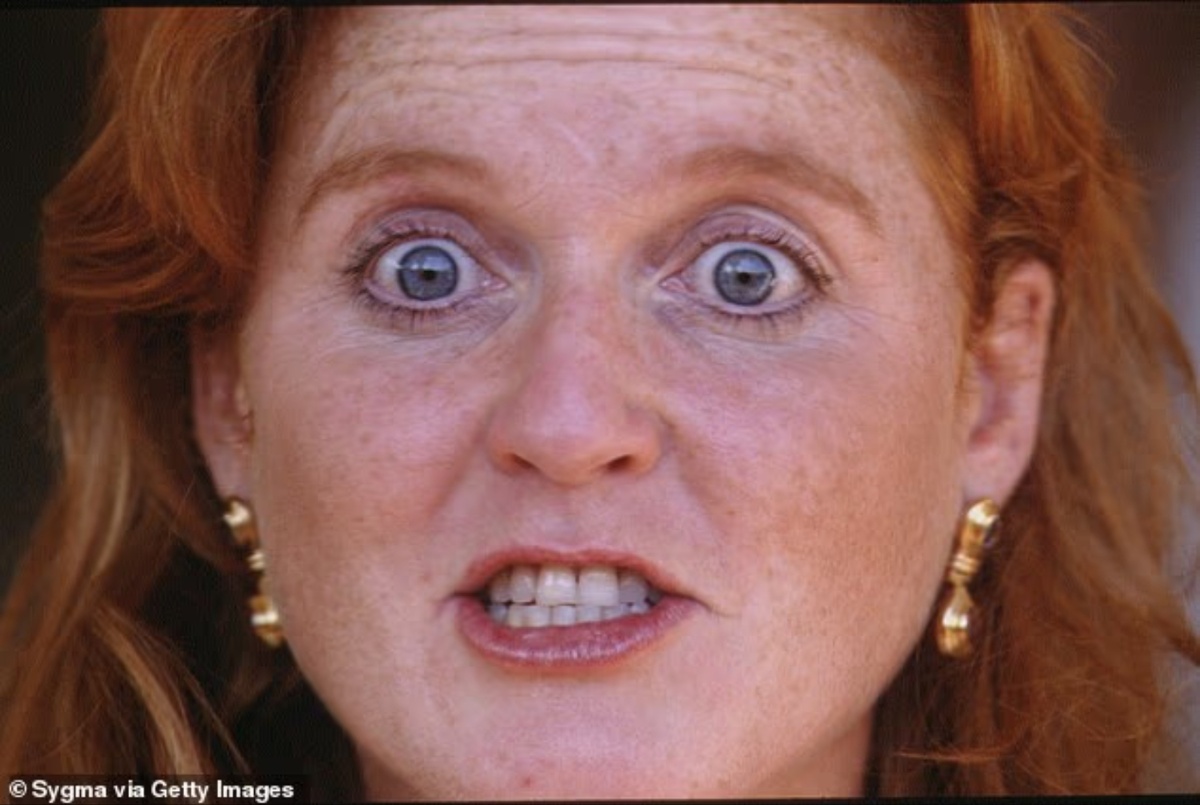 «Предполагалось, что у герцогини нервный срыв», — написал Лоуни в своей откровенной книге «Под названием». Между тем Сара рассказала своей близкой подруге мадам Вассо, что «все это было частью заговора с целью отнять у нее детей».