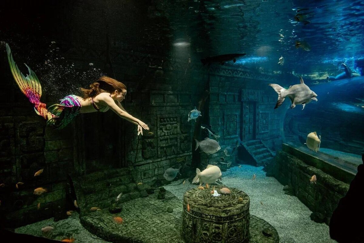    Шоу «Русалочка и Водяной» Предоставлено Пресс-службой