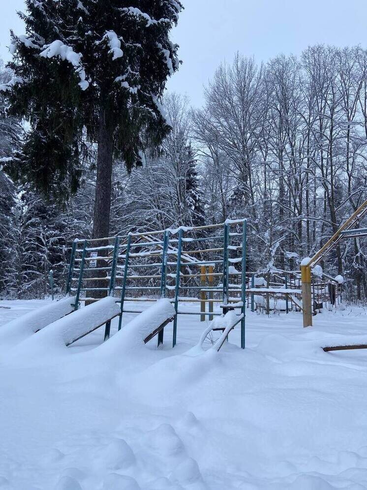   Елена Полякова