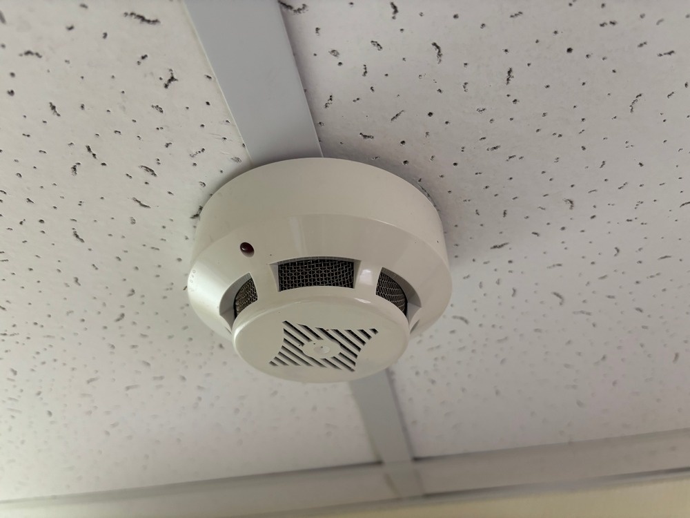    Фото: архив редакции Редактор