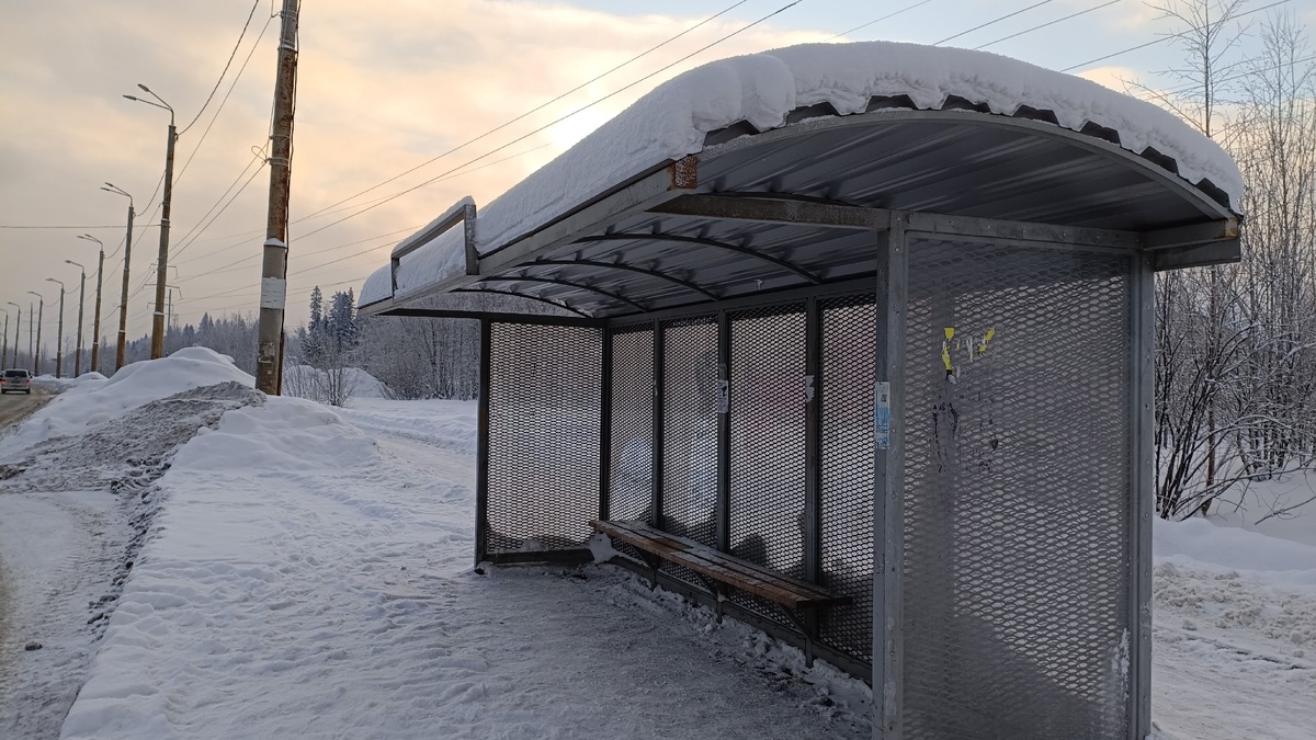    фото: © Столица на Онего