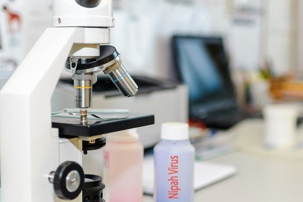 Фото: Shutterstock