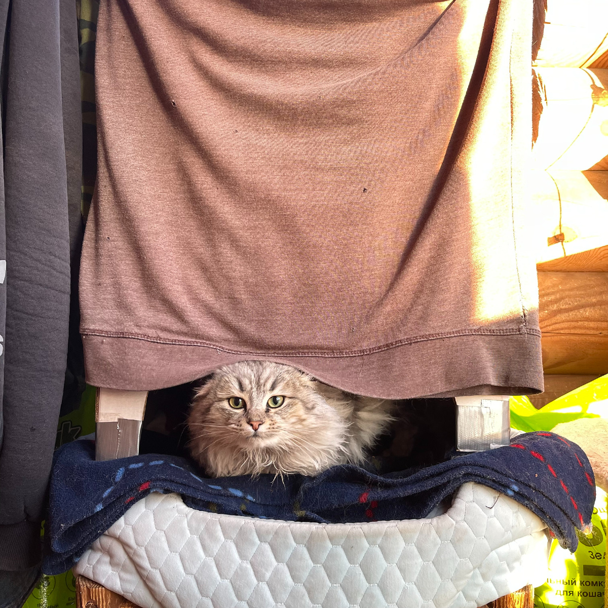 Кто там в домике?