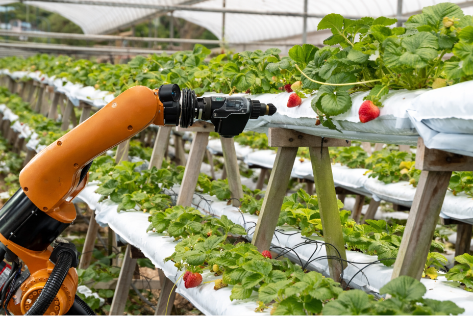 Роботы в сельском хозяйстве