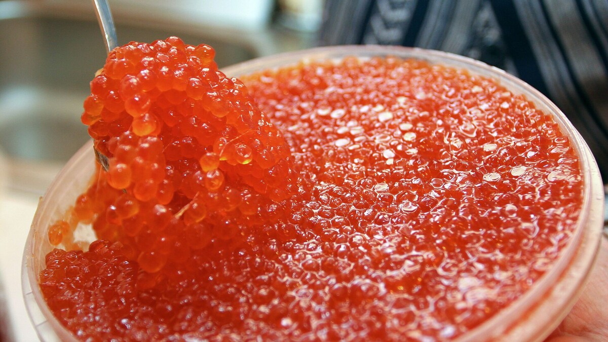 Фото: Алексей Насыров / РИА Новости