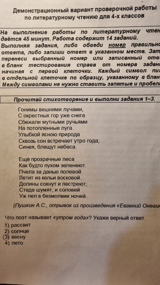 Наш образец по литературе 