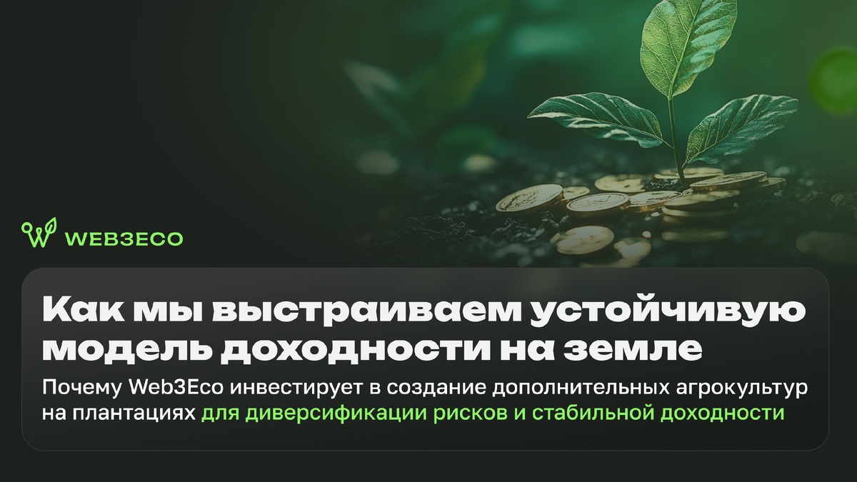 Как мы выстраиваем устойчивую модель доходности на земле. Почему Web3Eco инвестирует в cоздание дополнительных агрокультур  на плантациях для диверсификации рисков и стабильной доходности