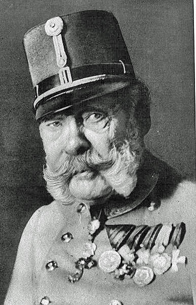 Франц-Иосиф в последний год жизни. 