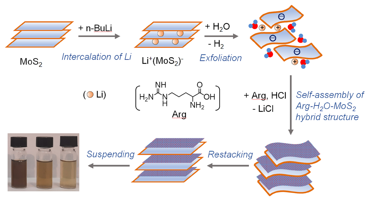 Схема получения суспензий наночастиц. Источник: Goloveshkin et al. / J. Inorg. Organomet. Polym. Mater., 2026