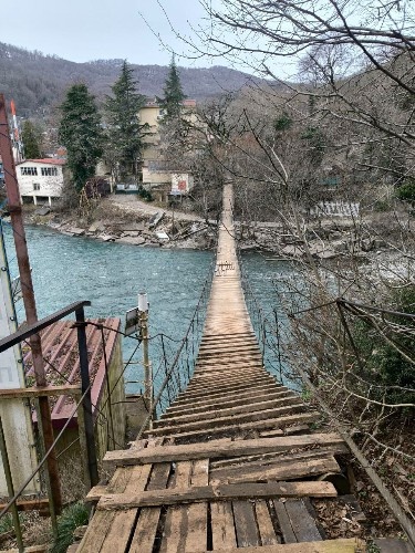    Фото: t.me/sochitypical