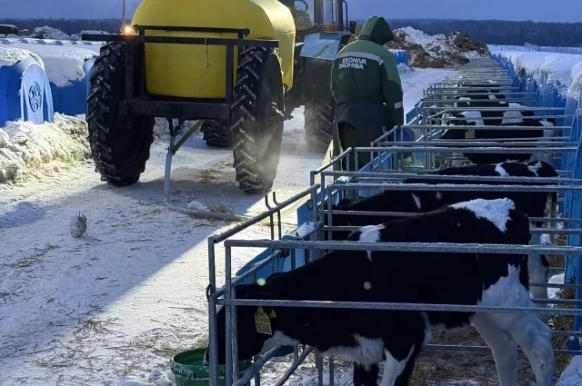    Делегация из Беларуси переняла калужский опыт в молочном животноводстве