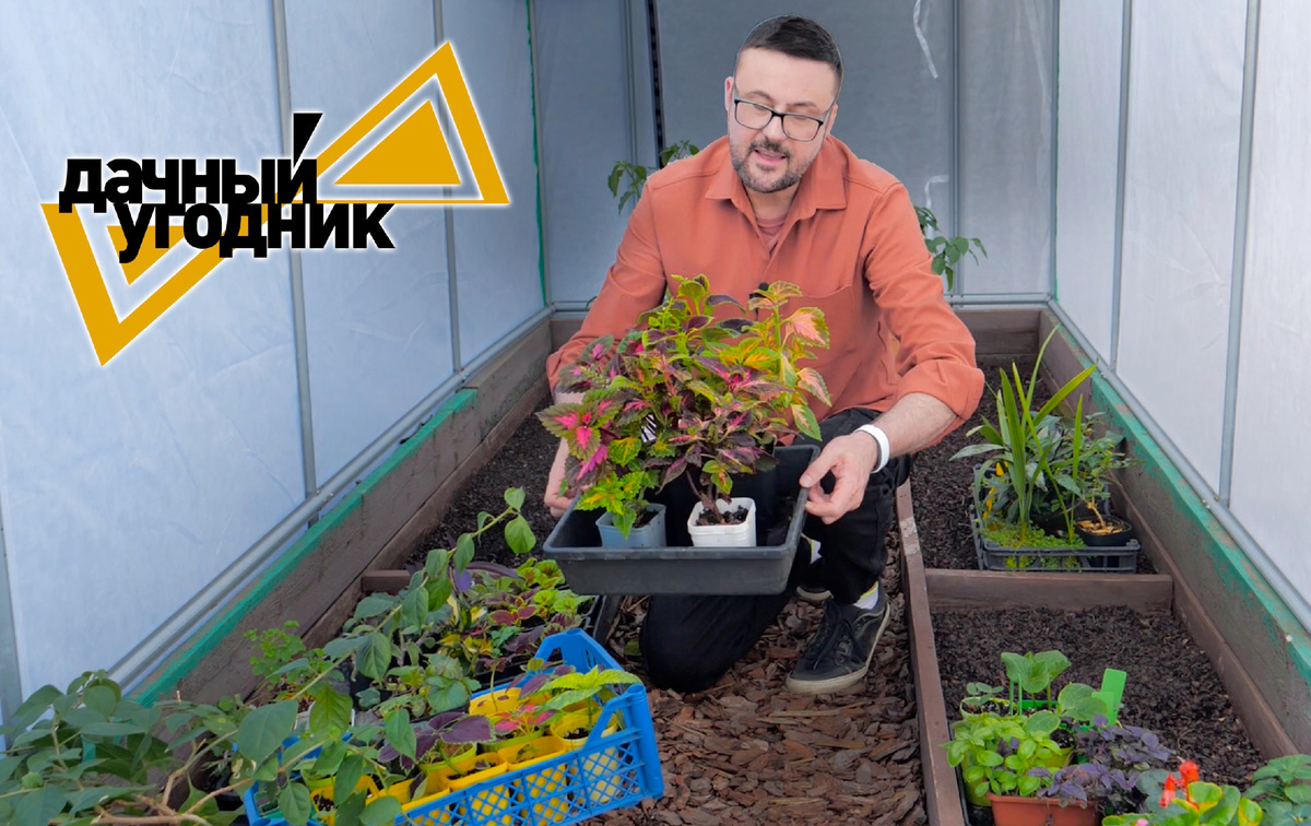 Виталий Декабрёв