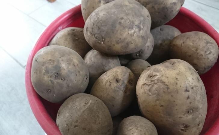    фото Курские известия