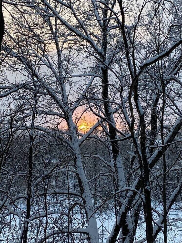   Елена Полякова