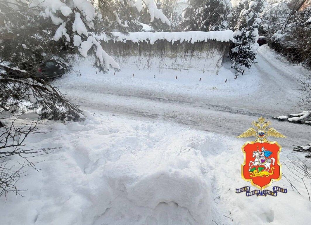     / Источник: © ГУ МВД Московской области