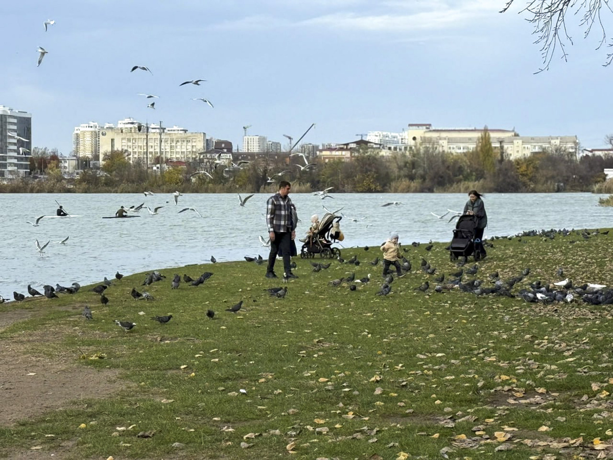 Стать почетным гражданином Краснодара станет сложнее.  Фото: Фото: ФедералПресс / Евгений Поторочин