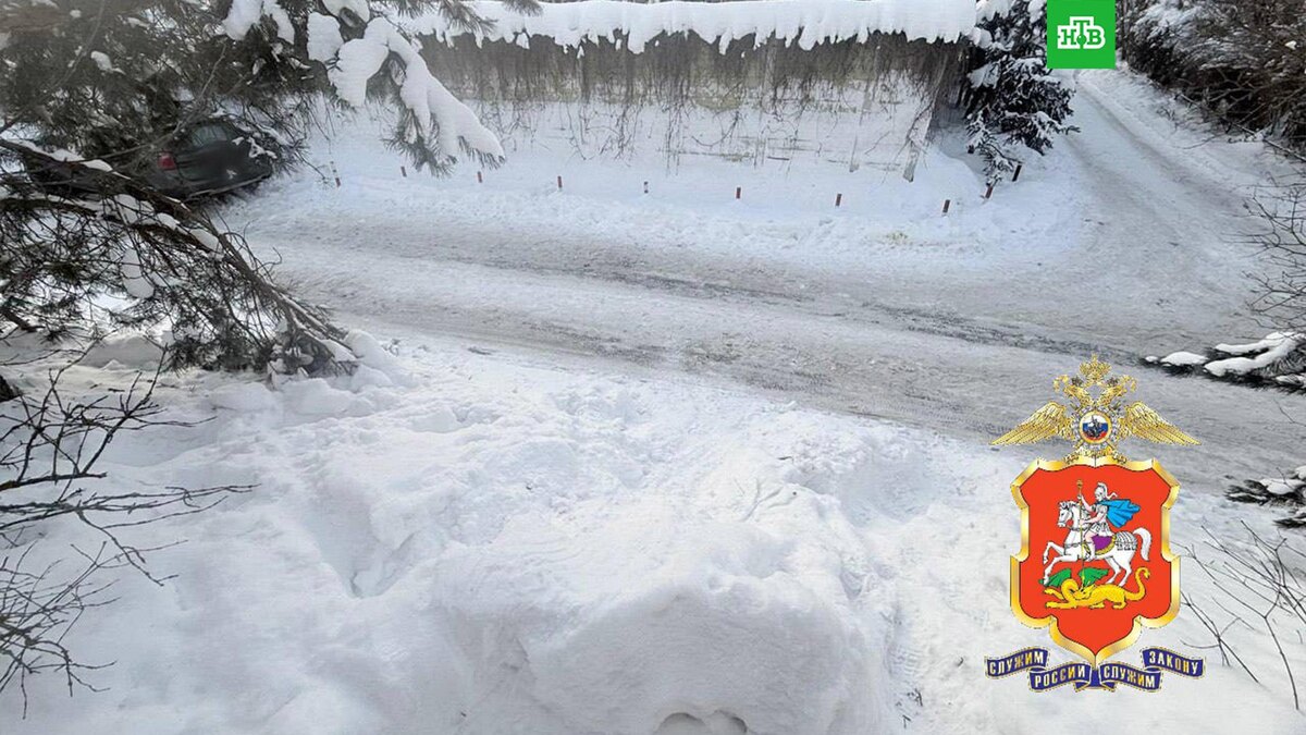    Фото: МВД РФ