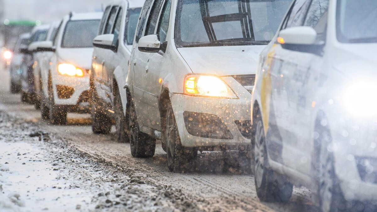    Фото: Ilya Moskovets/globallookpress.com