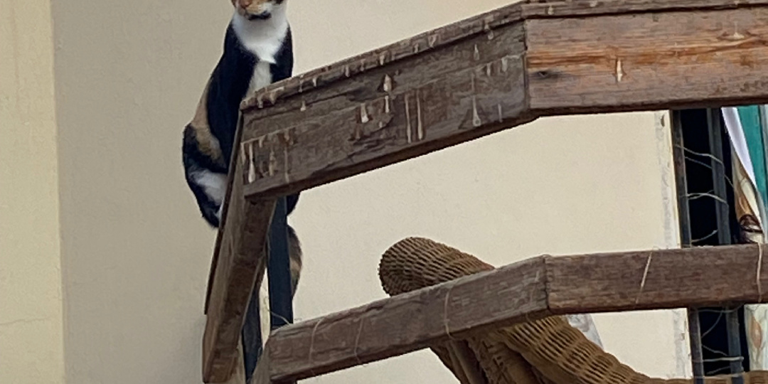 Всякая всячина