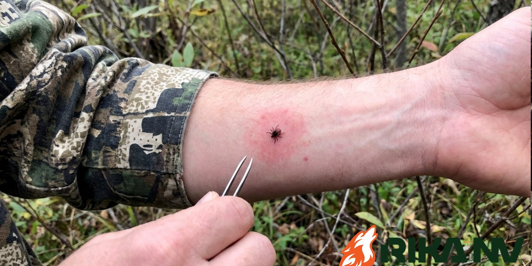 🧯 Как безопасно снять клеща в поле, если нет “клещедёра”