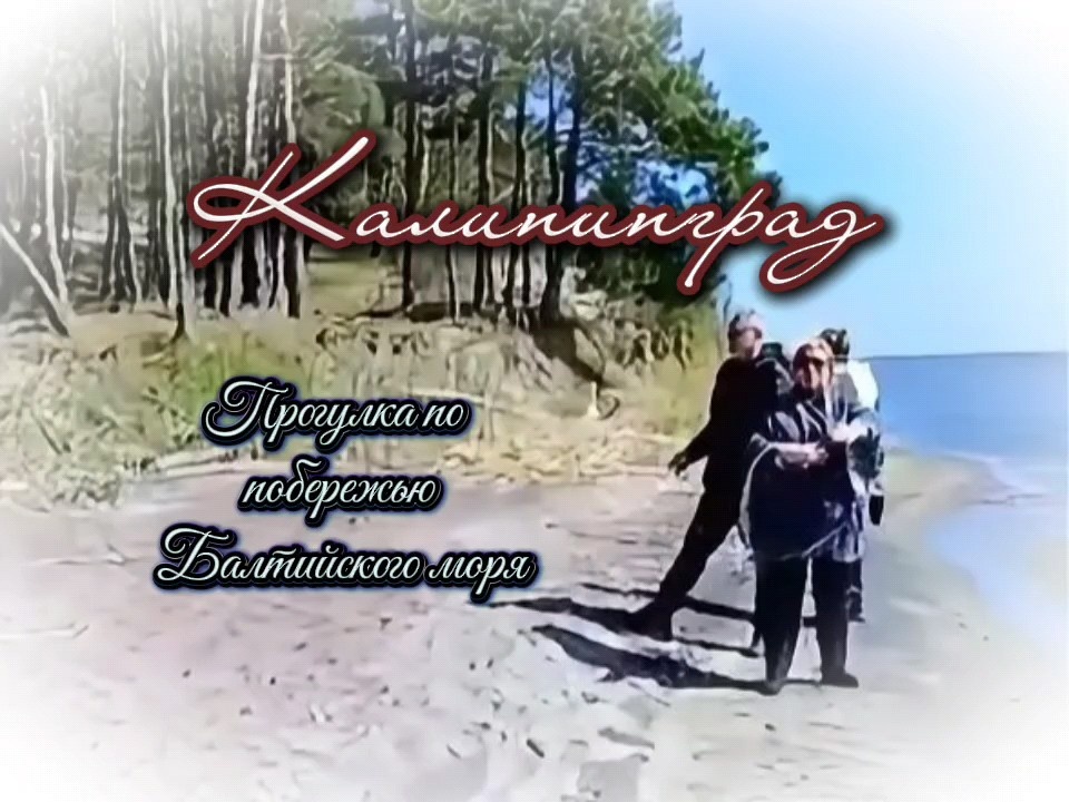 Солнечный берег Балтийского моря.