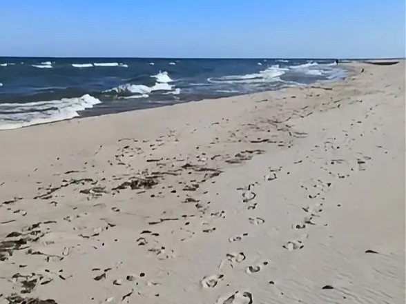 Песчаный берег Балтийского моря.