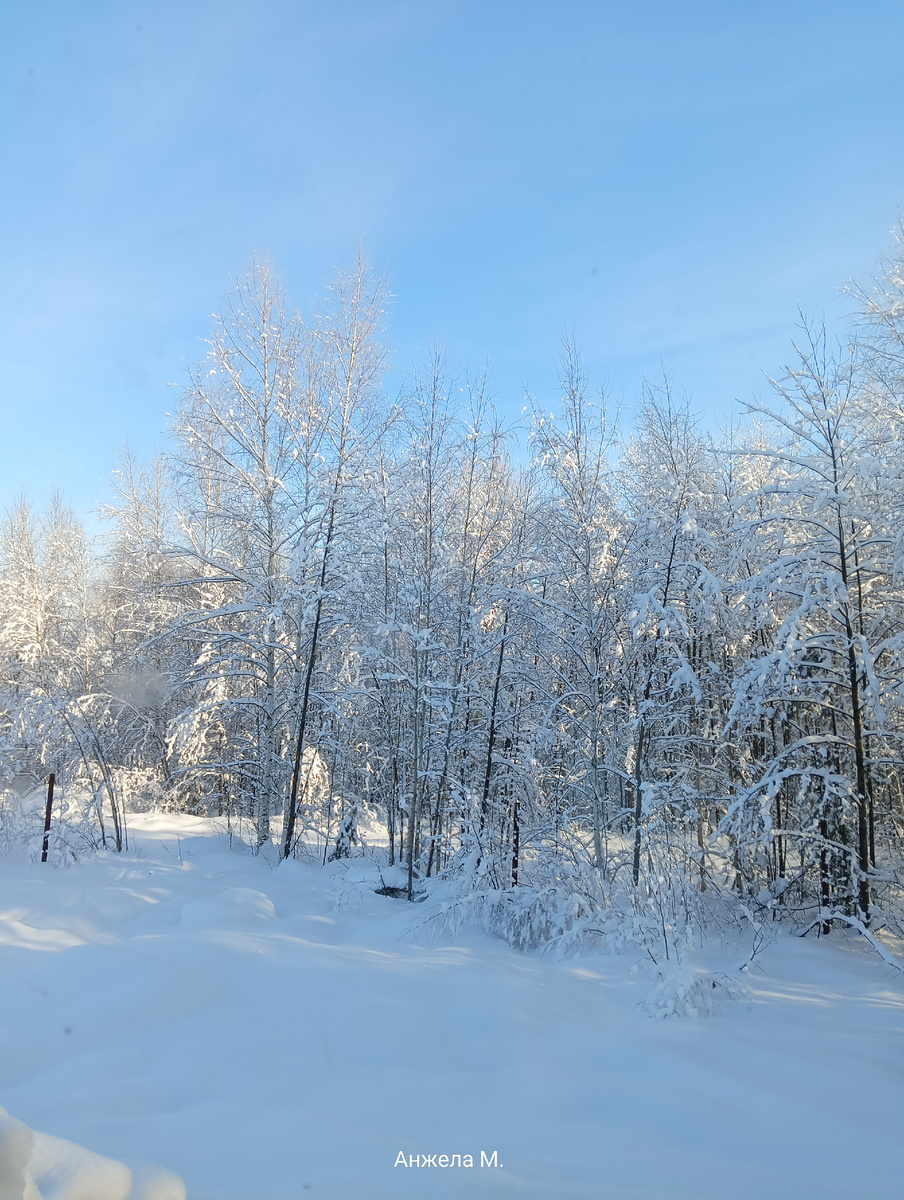 Вид из окна