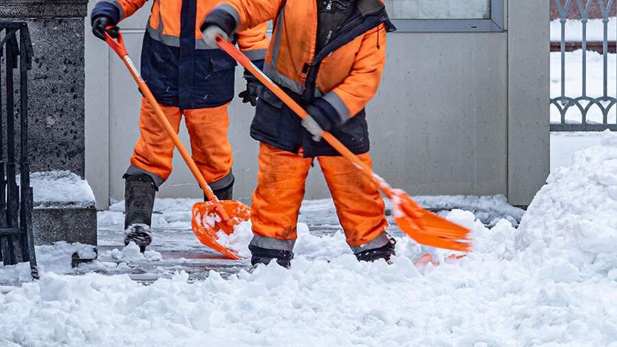 Фото: ИЗВЕСТИЯ/Константин Кокошкин