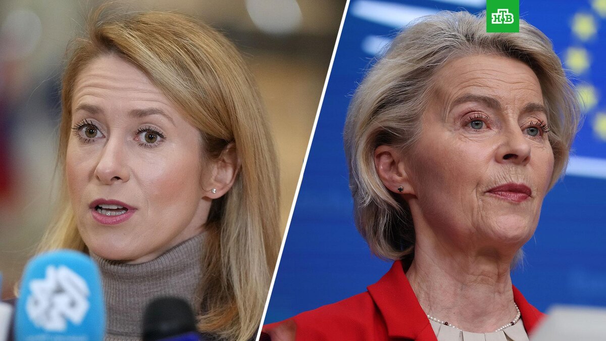    Фото: Associated Press © 2026, Virginia Mayo, Omar Havana