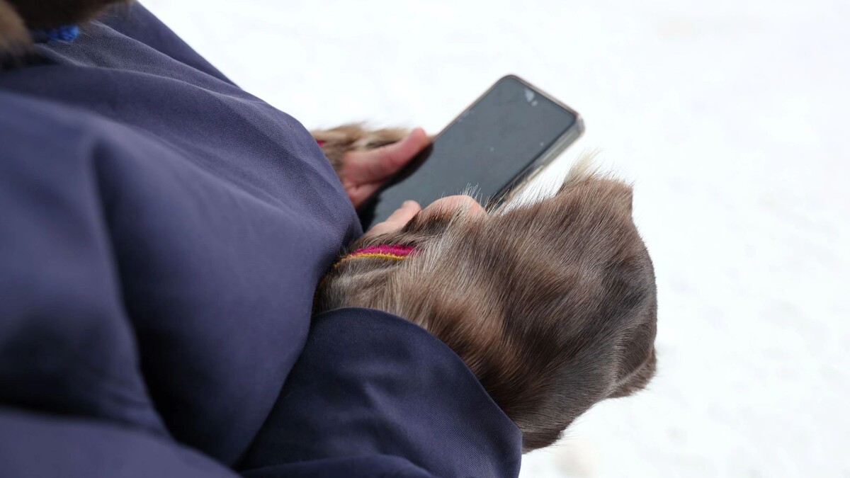    Фото: Андрей Ткачев/«Ямал-Медиа»