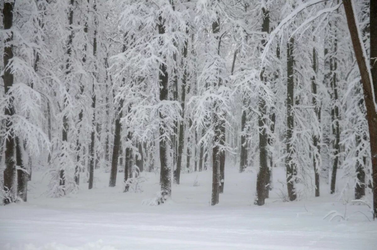    На смену морозам в Удмуртию придут снегопады